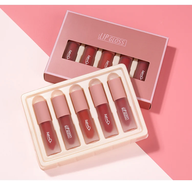 私人标签哑光天鹅绒性感 lipgloss 套装防水持久唇彩 5 件润肤霜让