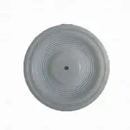 PTFE pump diaphragm2.jpg