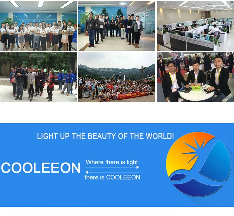 cob led light bulb  (4)