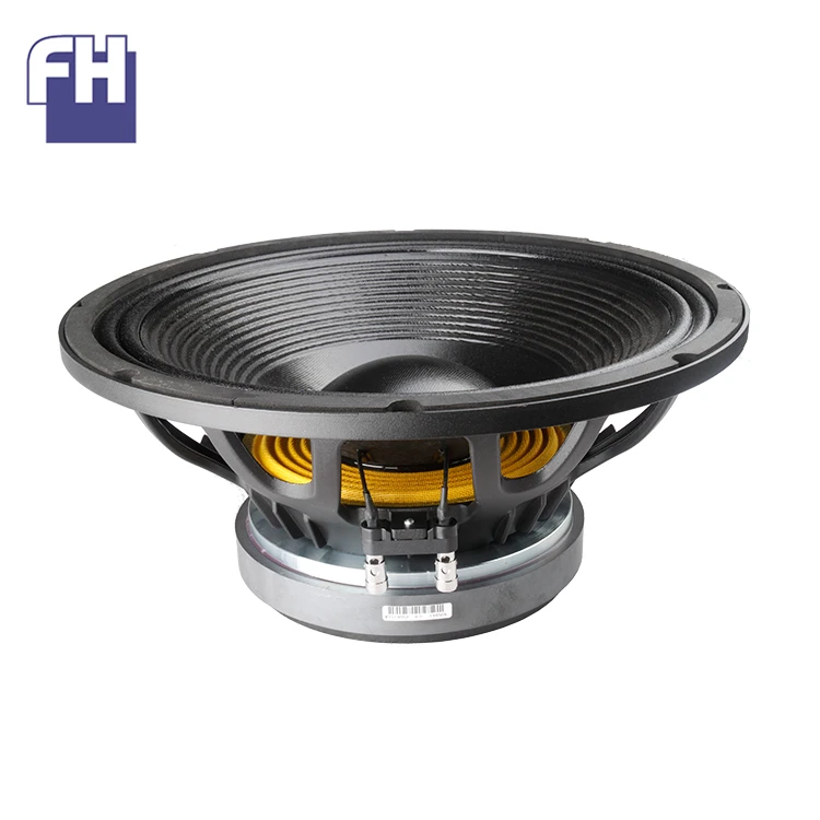 p audio 15 inch speakers price