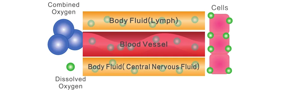 hyperbaric oxygen chmaber