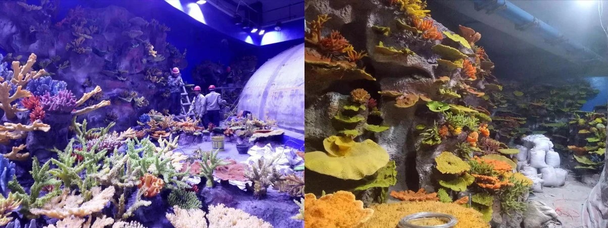 coral reef.jpg