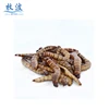 200ml canned Fresh superworms, feed reptiles, birds, fish feed