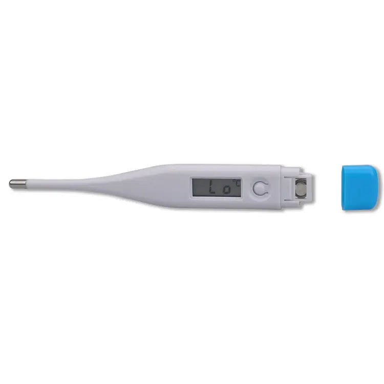 Household Fahrenheit Celsius Digital Thermometer Oral
