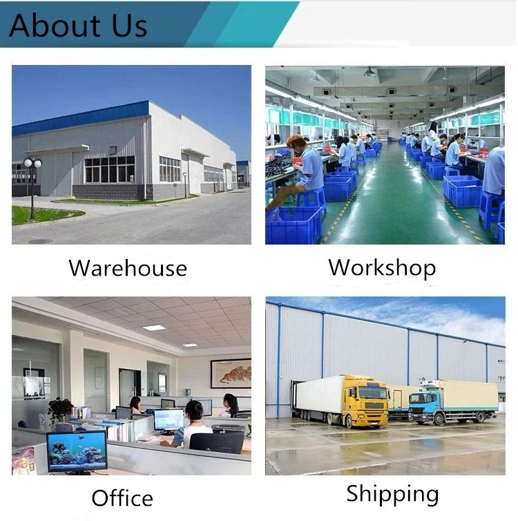 Fast Defrosting Tray Rapid Thawing Plate Large Board for Frozen Foods Kitchen Defrosting Mat Pad