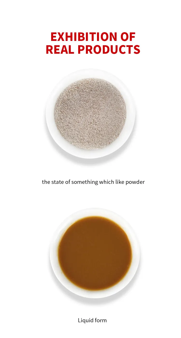 -1_03.jpg