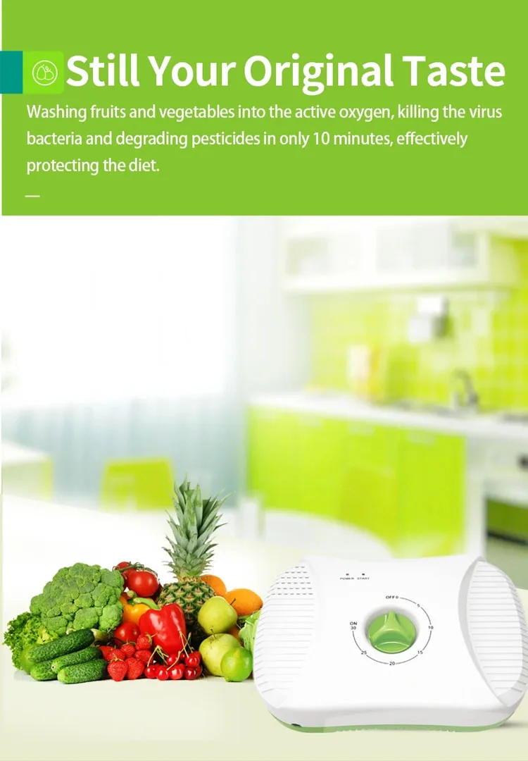 Ozone Negative Ion Air Purifier Vegetable Fruit Disinfecting Machine Home Clothin Ozone Generator Sanitizing Machine