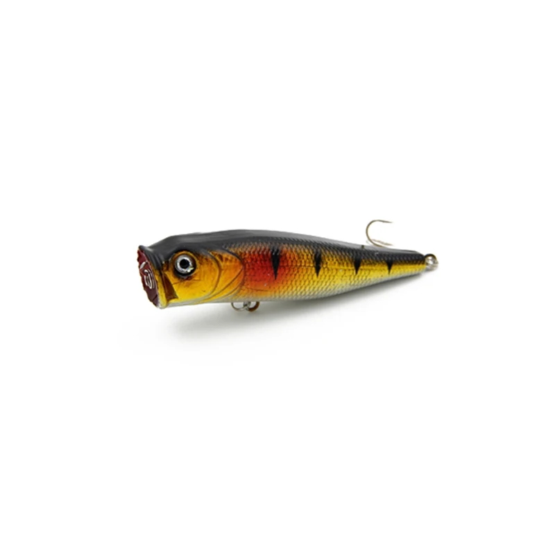 popper fishing  .jpg