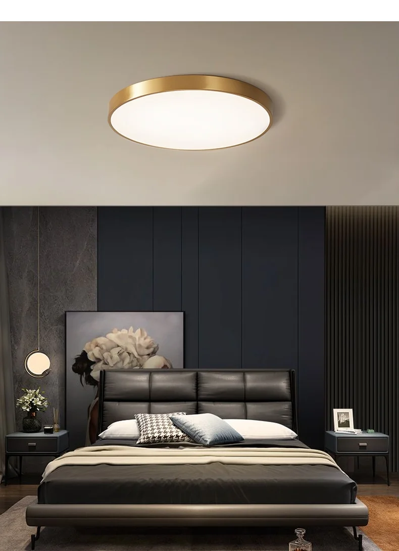 Modern Surface Mounted Bedroom Living Room Home Lighting Round Nordic Ceiling Light Led Lamp supplier