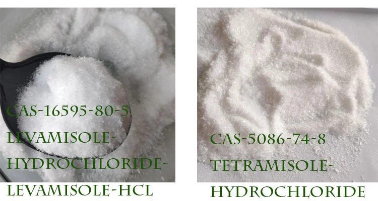 tetramisole (67).jpg