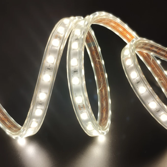 Factory Wholesale 220V IP65 5050 Flex LED Strips LED Neon