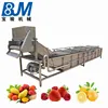 Mango grape orange pomegranate other fruit juice filling production line