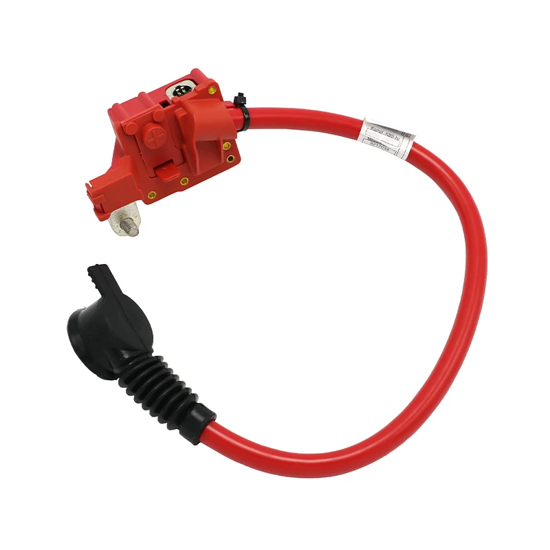 61129217036 Auto Spare Parts Positive Battery Cable For Bmw 6112 9217