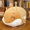 /product-detail/tiktok-birthday-gift-cute-fat-hamster-animal-print-pillow-hamster-plush-cushion-hand-warmer-pocket-soft-cushion-62231517867.html