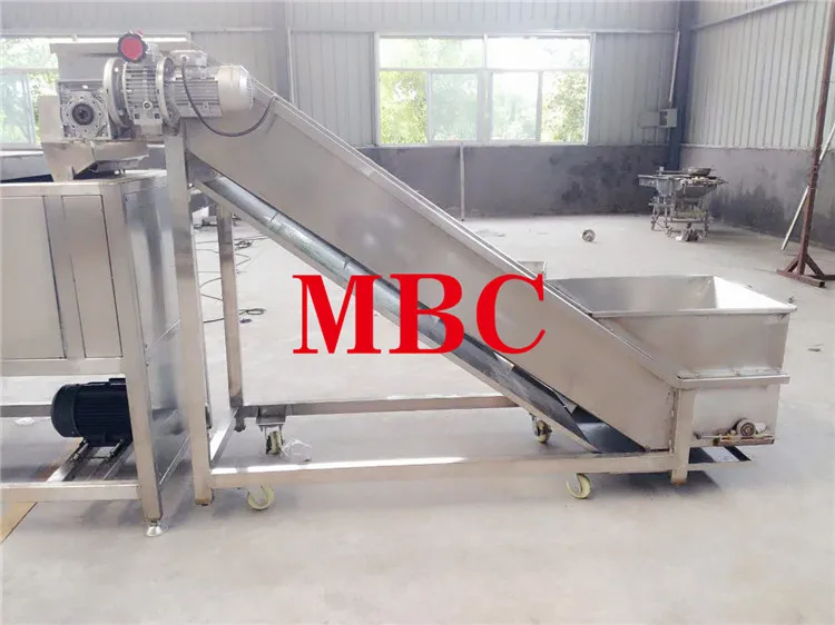 potato french fries conveyor.jpg