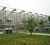 Agriculture Multi Span Intelligent Glass Greenhouse for Hydroponic Agriculture Demonstration Park
