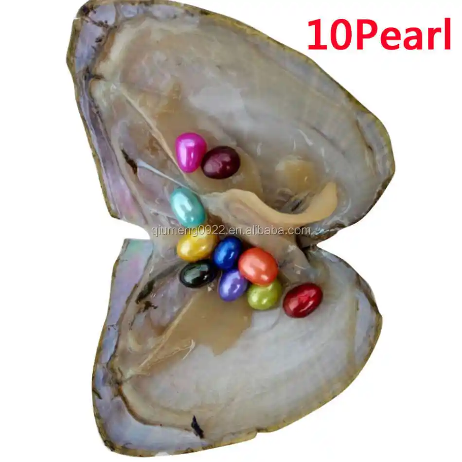 20pcs Individual Wrapped Akoya Oyster with Natural Oval Round Pearls Rainbow OV 