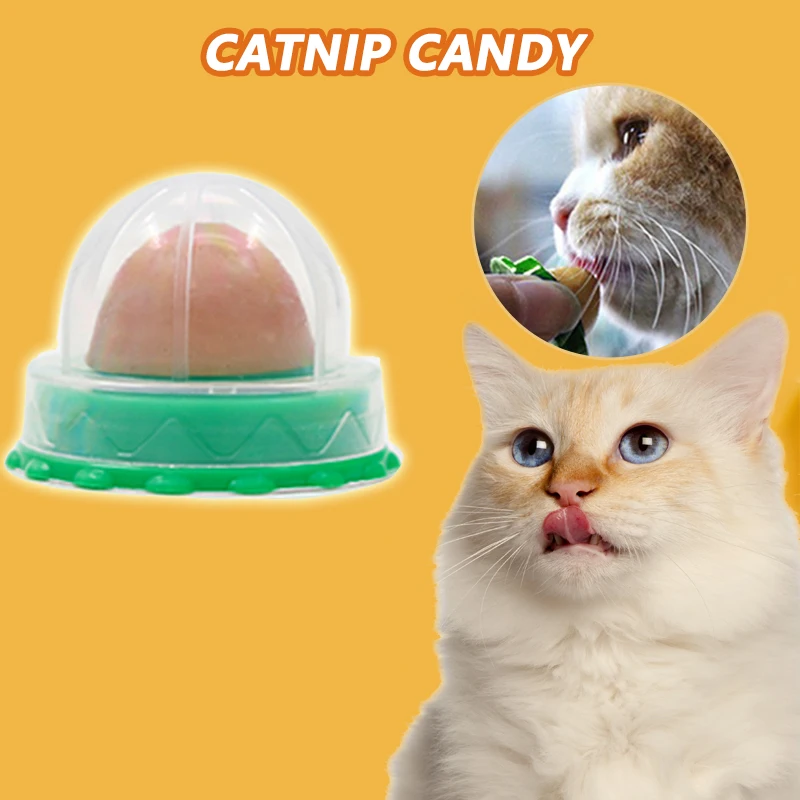 cat nutrition energy ball