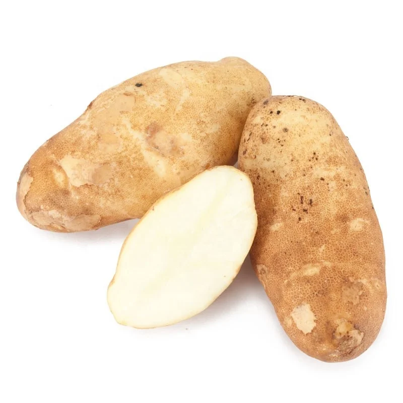
US Grown Fresh POTATO BAKERS BULK Robinson Fresh MOQ 50-60 COUNT Quick Delivery in US 