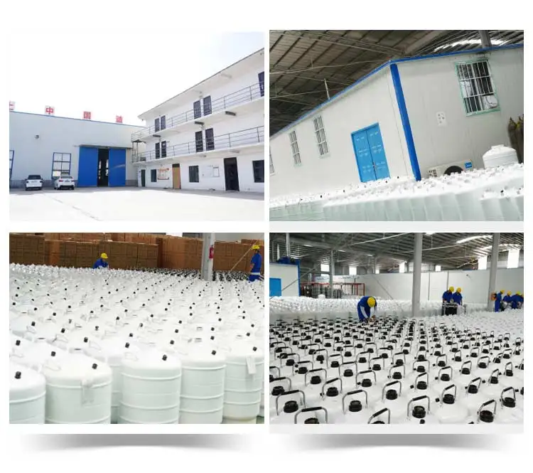 liquid nitrogen small capacity yds-10-210 semen tanks