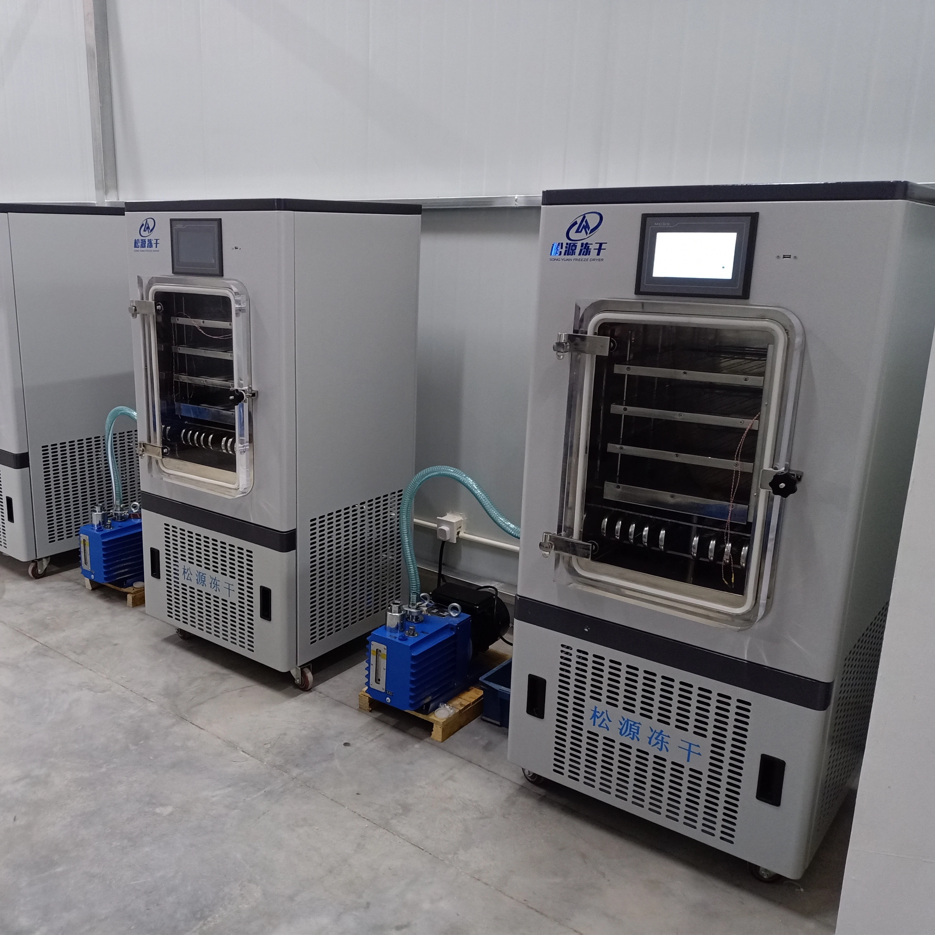 
Pilot Laboratory Lyophilizer Freeze Dryer China/in-situ LGJ-30FD 