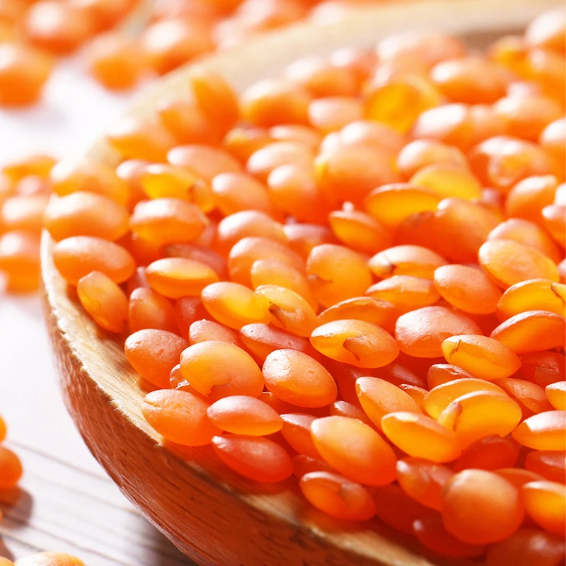 
Red lentil pure organic form Turkey best quality 