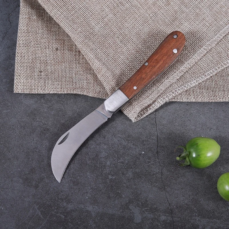 Outdoor Stainless Steel Mushroom Wooden Handle Folding Knife Garden