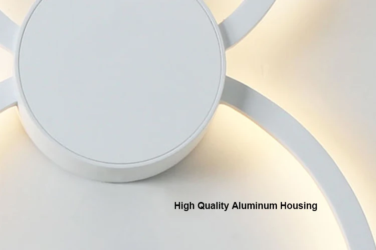 Indoor modern two round aluminum ceiling light linear LED wall light