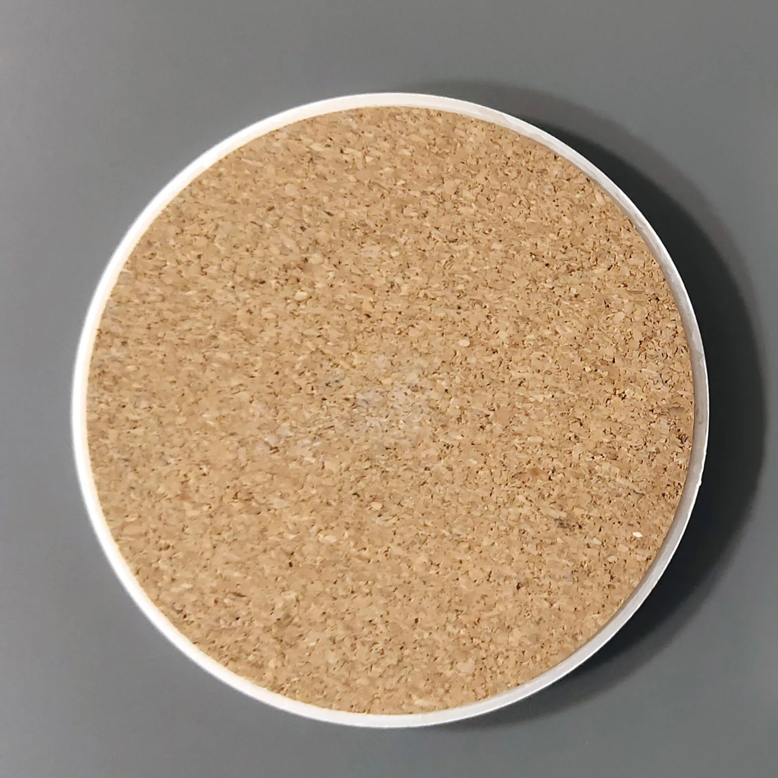 coaster (37)
