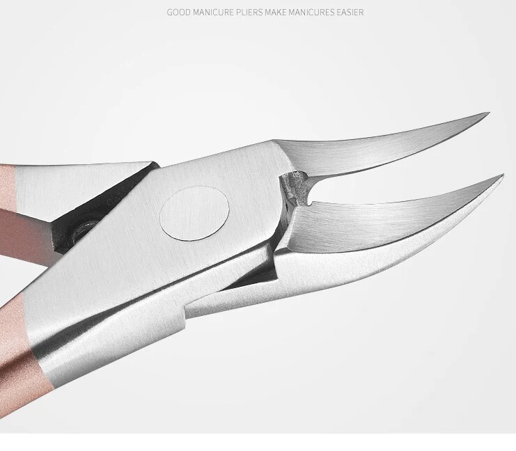 IMG_7505(20191104-151800)