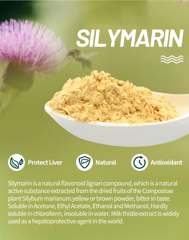 大量供应水飞蓟提取物水飞蓟素粉