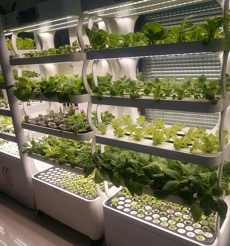 小型智能水培有机蔬菜播种机