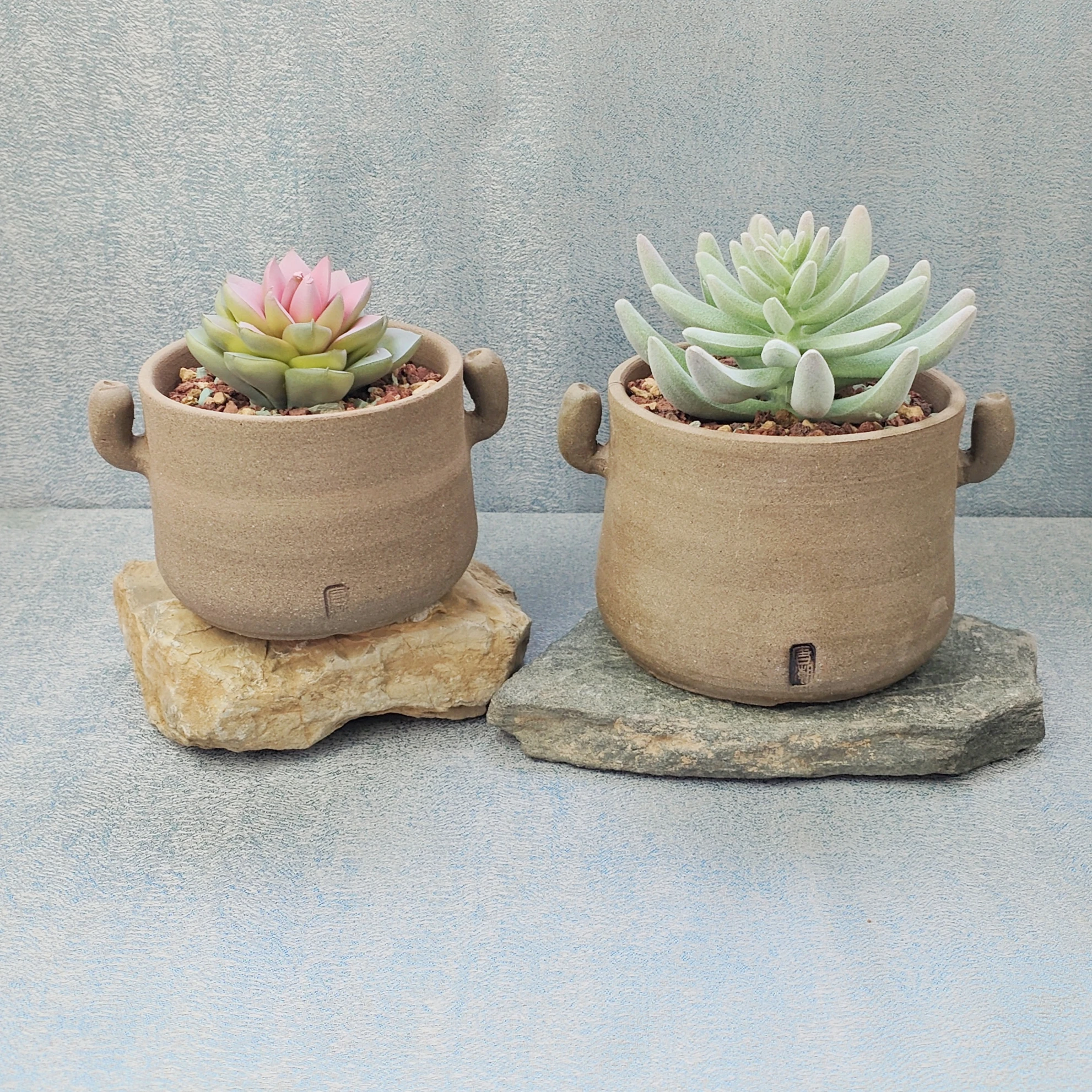 Ceramic Succulent Planter Pot Home Indoor Decorative Small Plant Flower