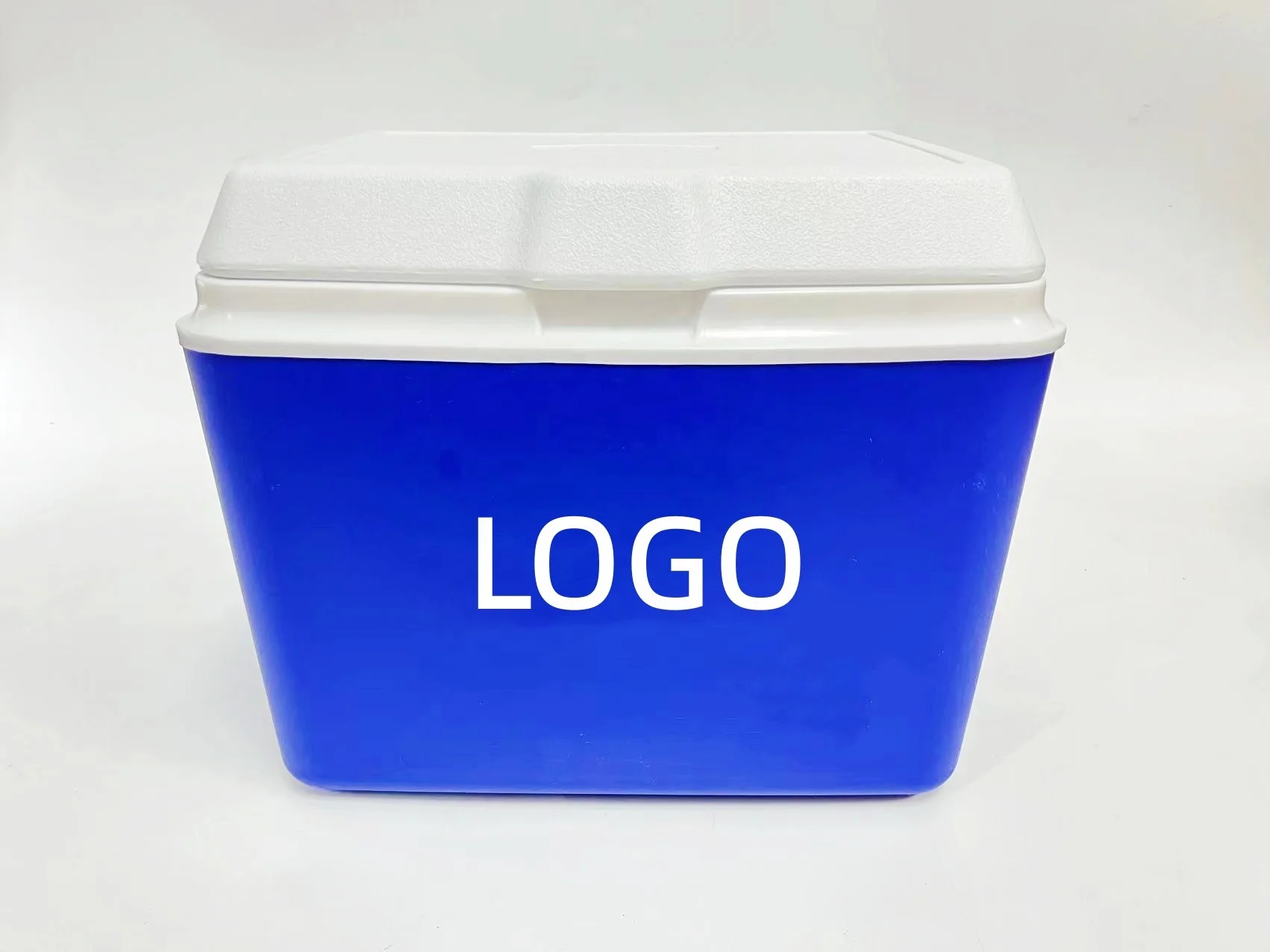 Plastic Cooler Box With Handle Camping Cooler Box Buy 20l Hot Selling
