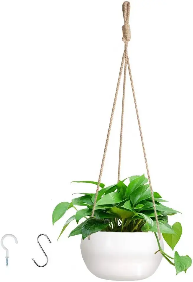 hanging pot with hook.jpg