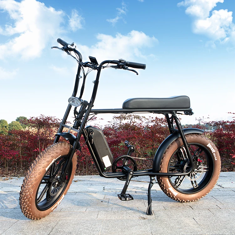 Marioretro 750w Two Seat Electric Bicycle With Rear Rack Buy 20 Inch 48v 750w Fat Tyre Ebike