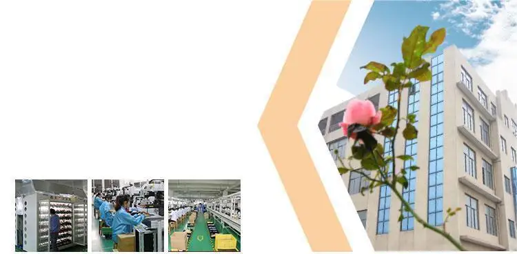 Lead (Pb)-bearing Thick Film