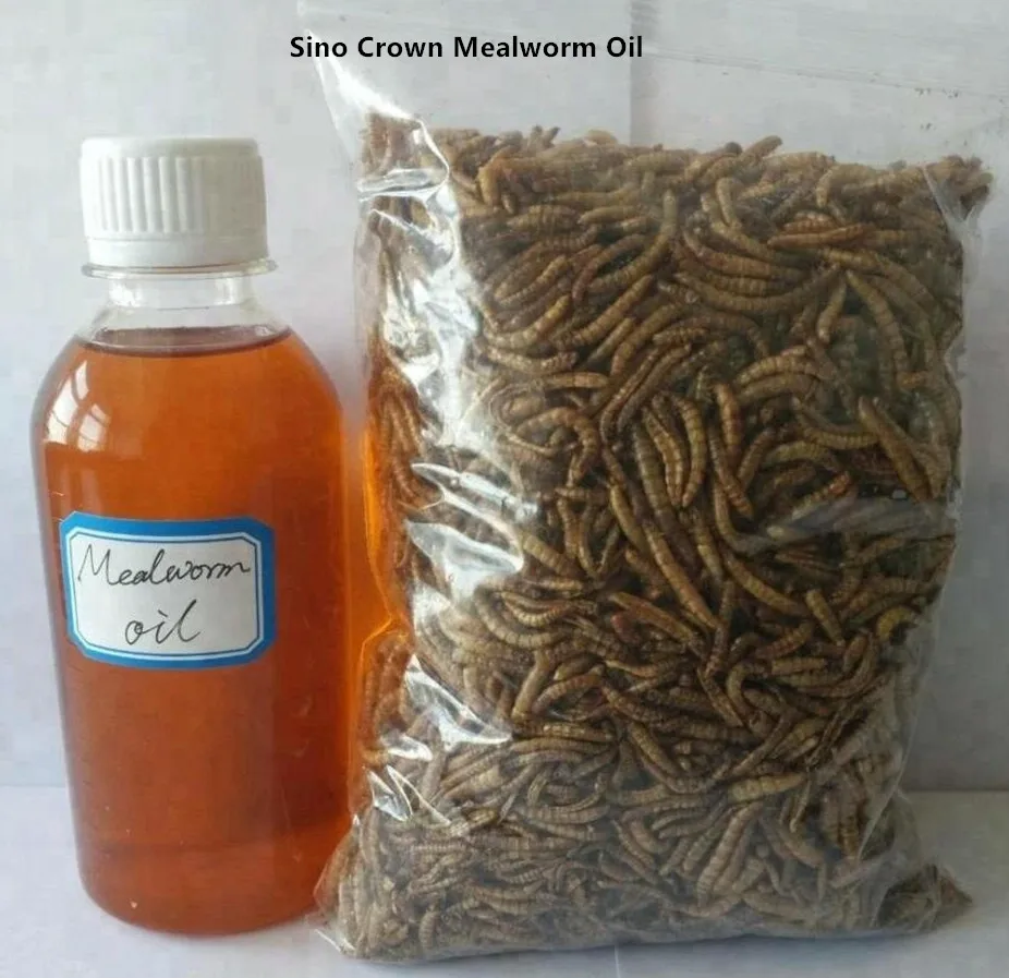 mealworm 油鱼生长激素