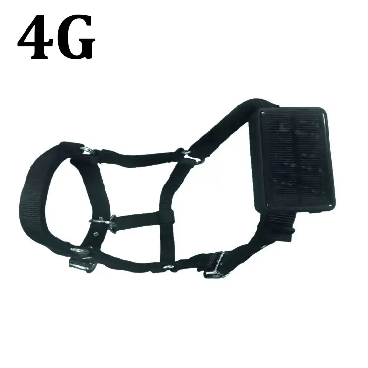 4g Battery Powered Gps Devices For Livestock Tracking Gps Cattle