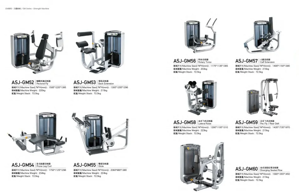 Dezhou Gym Fitness Equipment Bodybuilding Strength Machine Asjgm40