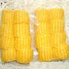 High quality sweet corn cob cutter maize cutting machine for sale direct deal