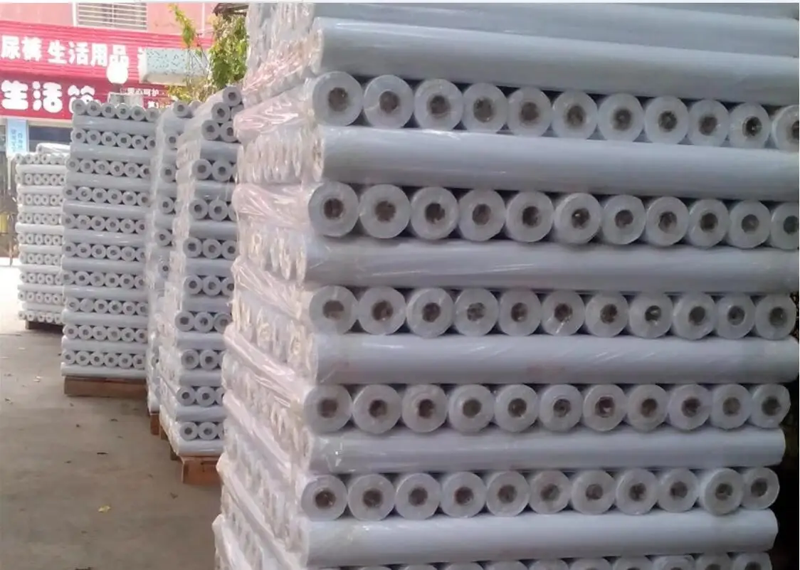 2019-04-15 104354.jpg