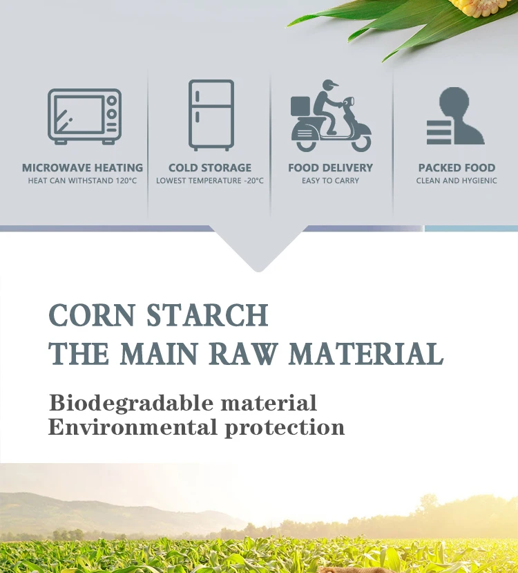 Microwave Safe Compostable Takeaway Food Container Disposable Corn Starch Plastic Bento Lunch Box
