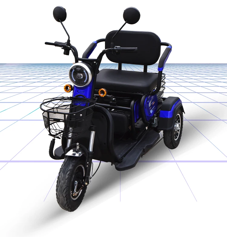Adult Electric Tricycle With Passenger Seat 3 Wheels Family Electric