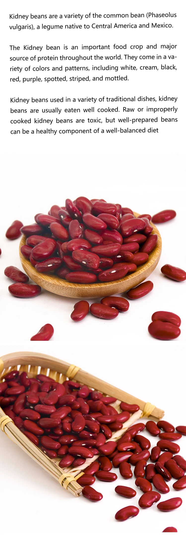 High Quality Bulk Dried Dark Red Kidney Beans For Sale