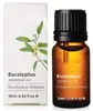 Eucalyptus Essential Oil for Diffuser, Humidifier and Aromatherapy (10ml) - 100% Pure