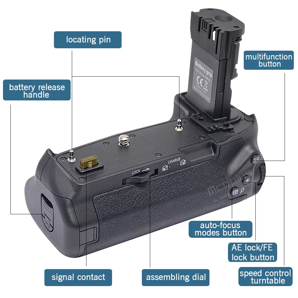 EOS R --5.jpg