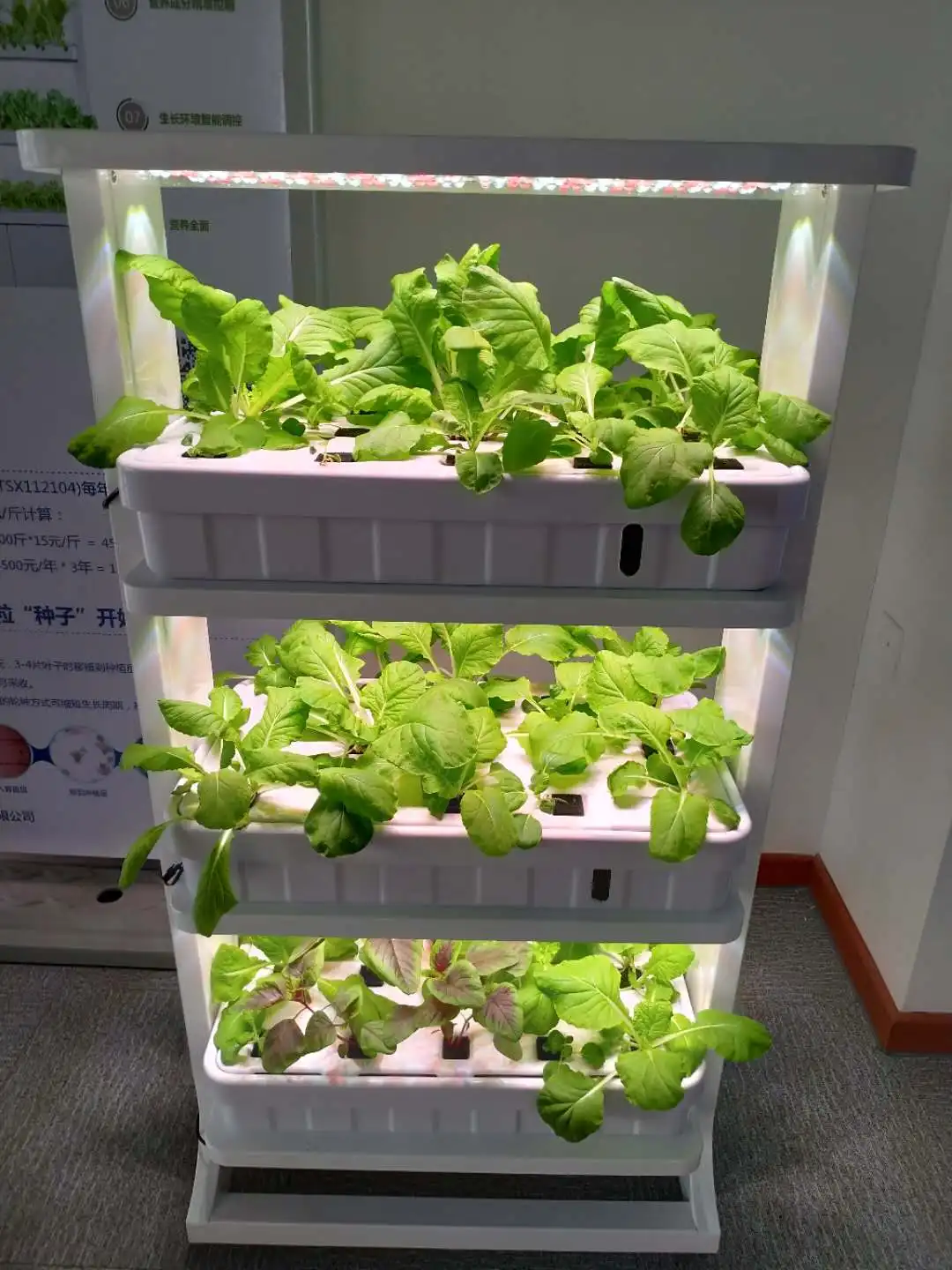 indoor growing system