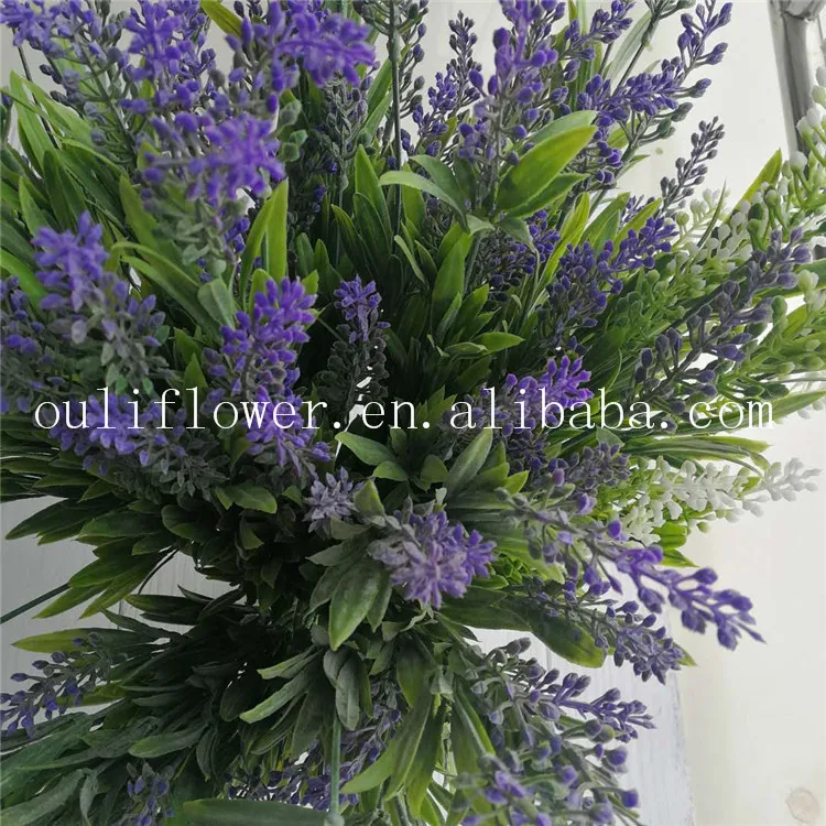 lavender (6).jpg