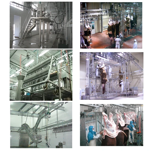 cattle slaughterhouse slaughterhouse machine